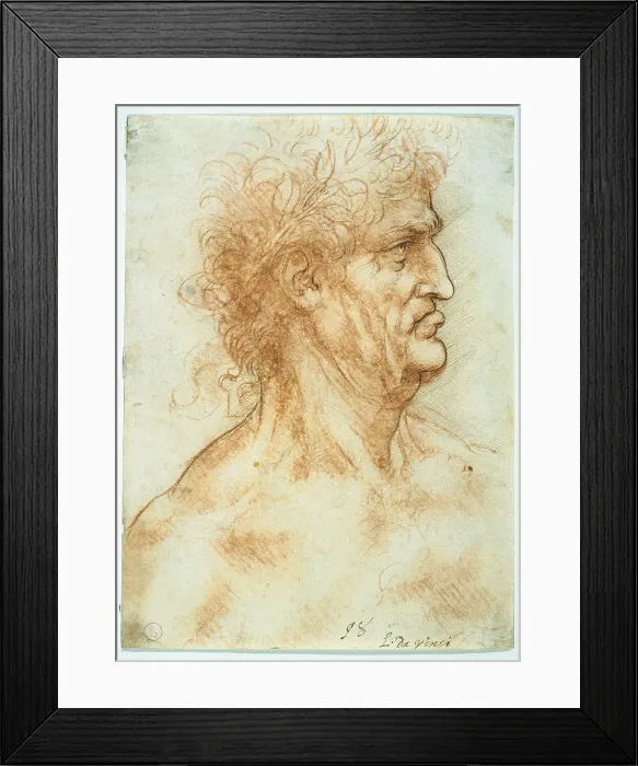 Framed Print : Head of a man in profile, crowned with laurel, by Leonardo da Vinci, 16th Century, 1506 -1508 about, outline in ink on white paper, mm 168 x 125 - Italy, Piemonte, Turin