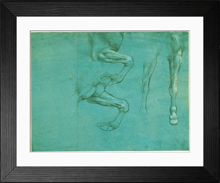 Framed Print : Studies of horse front legs, by Leonardo da Vinci, 15th Century, 1490 about, metal tip and highlights of white lead on blue prepared paper, mm 154 x 205 - Italy, Piemonte, Turin