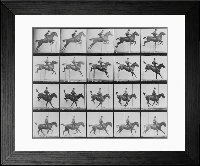 Framed Print : Consecutive images of man riding a horse. From Eadweard Muybridge's, ANIMAL LOCOMOTION, 1887