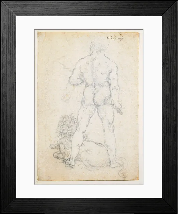 Framed Print : Hercules with the Nemean lion, View of from behind standing, by Leonardo da Vinci, 16th Century, 1505 -1508 about, charcoal and a metal tip, mm 280 x 190 - Italy, Piemonte, Turin Framed Print : Hercules with the Nemean lion, View of from behind standing, by Leonardo da Vinci, 16th Century, 1505 -1508 about, charcoal and a metal tip, mm 280 x 190 - Italy, Piemonte, Turin