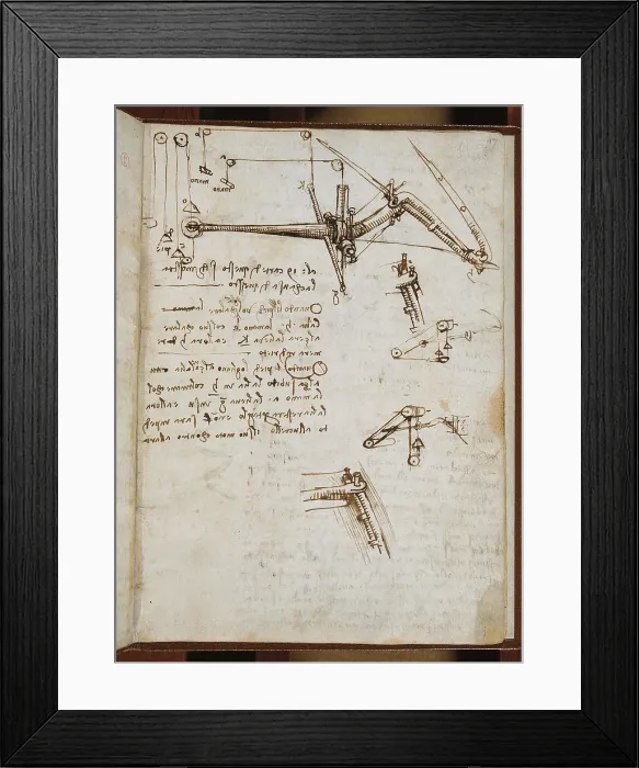Framed Print : (Leonardo da Vincis) Codex on the Flight of Birds, by Leonardo da Vinci, 16th Century, 1505 -1506 about, paper manuscript, mm 213 x 153 x - Italy, Piemonte, Turin, Royal Library