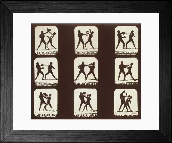 Framed Print : Consecutive images of two men boxing. From Eadweard Muybridge's, THE ATTITUDES OF ANIMALS IN MOTION, 1881 Framed Print : Consecutive images of two men boxing. From Eadweard Muybridge's, THE ATTITUDES OF ANIMALS IN MOTION, 1881