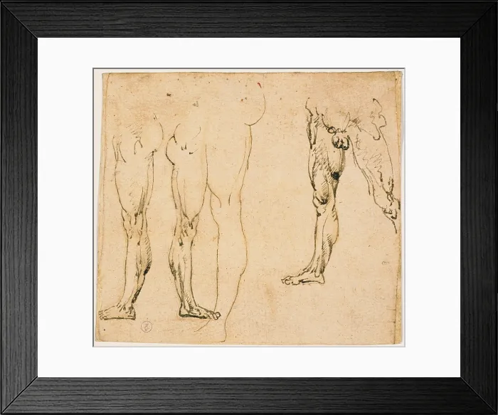 Framed Print : Studies of male legs, by Leonardo da Vinci, 15th Century, 1485 -1487 about, metal tip pen on paper slightly yellowed, mm 140 x 157 - Italy, Piemonte, Turin, Royal Library, Dis