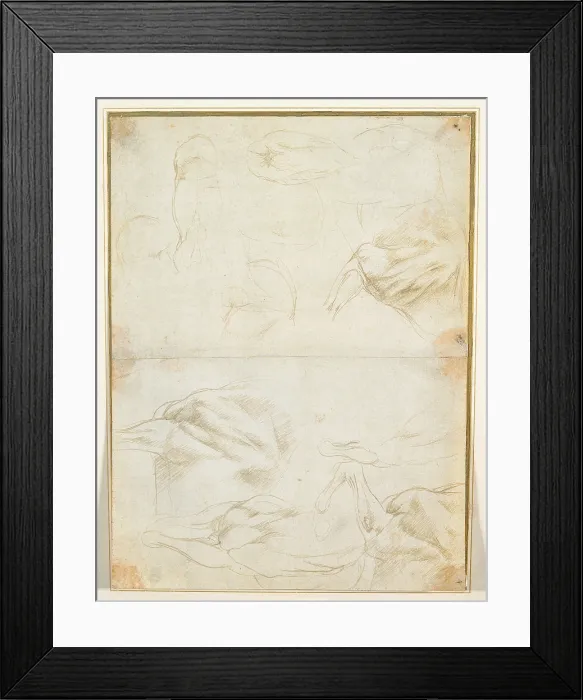 Framed Print : Studies of the muscles of the horse forelimbs, by Leonardo da Vinci, 15th Century, 1480 about, metal point on prepared paper light green, mm 217 x 287 - Italy, Piemonte, Turin