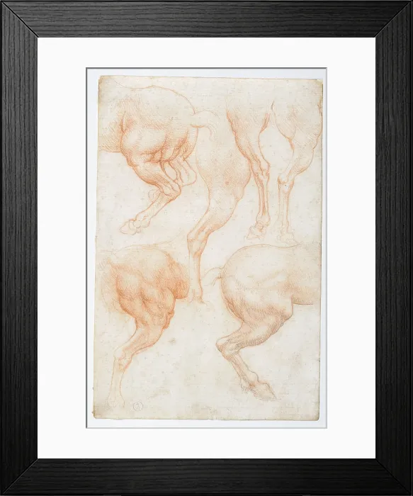 Framed Print : Studies of the horse rear legs, by Leonardo da Vinci, 16th Century, 1508 about, sanguine on white paper slightly yellowed, mm 201 x 133 - Italy, Piemonte, Turin, Royal Library