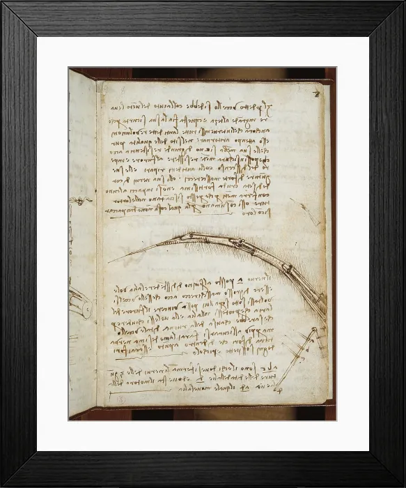 Framed Print : (Leonardo da Vincis) Codex on the Flight of Birds, by Leonardo da Vinci, 16th Century, 1505 -1506 about, paper manuscript, mm 213 x 153 - Italy, Piemonte, Turin, Royal Library