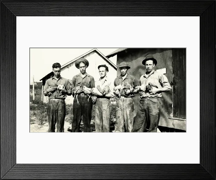 Framed Print : Civilian Conservation Corps (CCC) in Jonesville, Virginia, ca. 1935. The young men of CCC Company 2380 are in a poultry raising program. (BSLOC_2013_7_69)