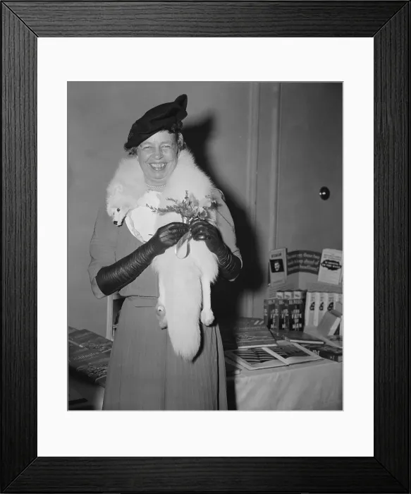 Framed Print : Eleanor Roosevelt on her 55th birthday on Oct. 11, 1939. She is holding an orchid. (BSLOC_2013_7_7) Framed Print : Eleanor Roosevelt on her 55th birthday on Oct. 11, 1939. She is holding an orchid. (BSLOC_2013_7_7)