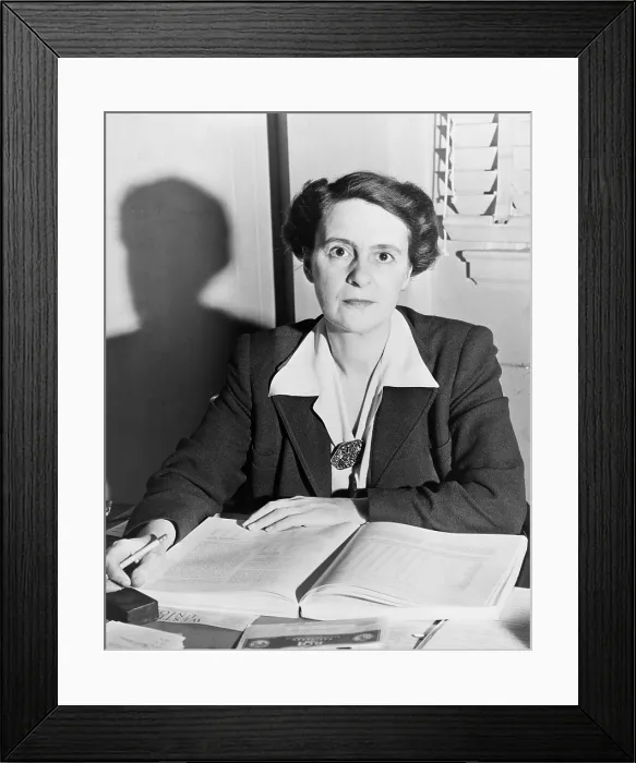 Framed Print : Economist Eveline Burns, contributed to New Deal programs. She developed specifics of the Social Security Act as it was eventually passed by Congress in 1935. (BSLOC_2013_7_75) Framed Print : Economist Eveline Burns, contributed to New Deal programs. She developed specifics of the Social Security Act as it was eventually passed by Congress in 1935. (BSLOC_2013_7_75)