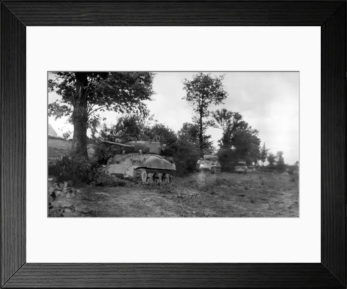 Framed Print : Four U.S. Sherman tanks hiding in a Norman Hedgerow during the Battle of the Falaise Pocket. August 3-7, 1944. Normandy, France, World War 2. (BSLOC_2014_2_122)
