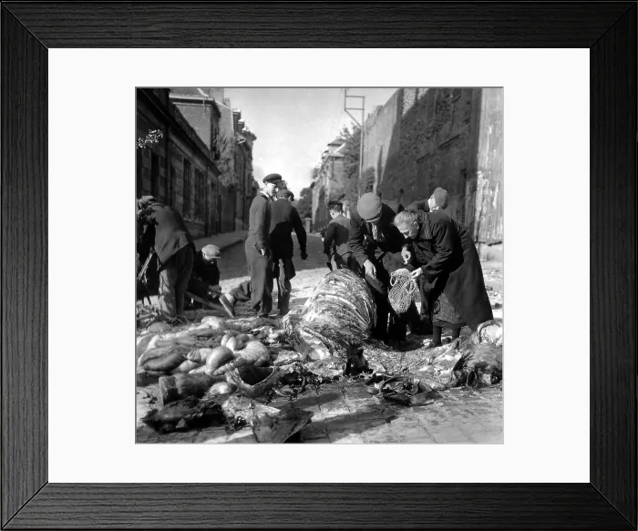 Framed Print : Hungary civilians butcher a dead horse on a street of Saint-Quentin, France. A man with a knife gives a piece of meat to an elderly woman, Sept. 3, 1944. France, World War 2 Framed Print : Hungary civilians butcher a dead horse on a street of Saint-Quentin, France. A man with a knife gives a piece of meat to an elderly woman, Sept. 3, 1944. France, World War 2