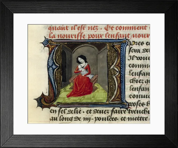 Framed Print : FIRENZE, Aldebrando da (14th century). Treatise on medicine. 1356. Fol. 49. About how to feed the child. Gothic art. Miniature Painting. PORTUGAL. Lisbon. Ajuda Library Framed Print : FIRENZE, Aldebrando da (14th century). Treatise on medicine. 1356. Fol. 49. About how to feed the child. Gothic art. Miniature Painting. PORTUGAL. Lisbon. Ajuda Library