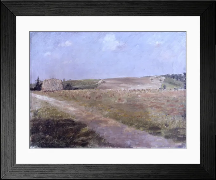 Framed Print : Landscape (Paesaggio), by Giuseppe De Nittis, 19th Century - Italy, Puglia, Barletta, Giuseppe De Nittis Collection. Whole artwork view. A little road trough the fields