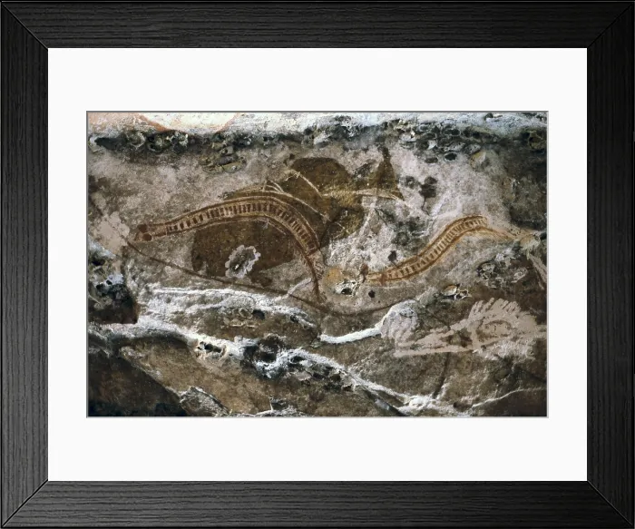 Framed Print : AUSTRALIA. NORTHERN TERRITORY. Ubirr Rock. Kakadu National Park. Cave. - P. Rotger / Iberfoto / Everett Collection (351236)**US SALES ONLY**