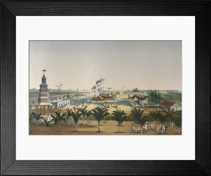 Framed Print : Cuba (19th c.). 'Ingenio Intrepido', illustracion by Eduardo Laplante for the book 'Libro de los Ingenios' (1855-1857). Litography. CUBA. Havana Framed Print : Cuba (19th c.). 'Ingenio Intrepido', illustracion by Eduardo Laplante for the book 'Libro de los Ingenios' (1855-1857). Litography. CUBA. Havana