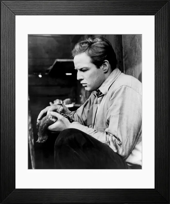 Framed Print : ON THE WATERFRONT, Marlon Brando, 1954