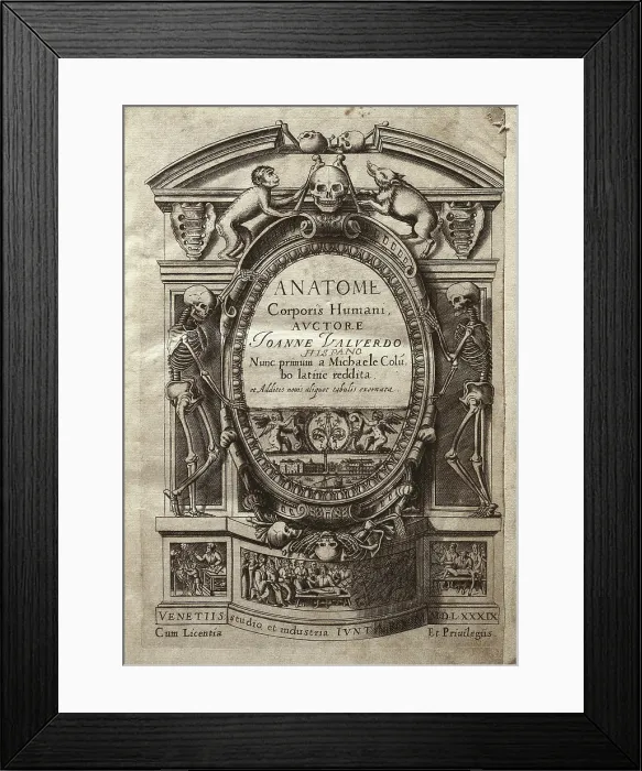 Framed Print : VALVERDE DE AMUSCO, Juan (1525-1588). Anatome Corporis Humani. 1589. Edition printed in Venice. Frontispiece. Engraving. SPAIN. Barcelona