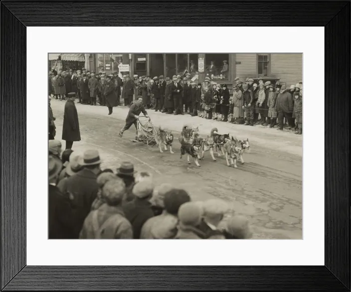 Framed Print : Leonhard Seppala and his Siberian huskies, finishing first in the forty miles at Laconia, N.H. February 1929. He was racing in the Annual Sled Dog Race from Lake Placid, New York Framed Print : Leonhard Seppala and his Siberian huskies, finishing first in the forty miles at Laconia, N.H. February 1929. He was racing in the Annual Sled Dog Race from Lake Placid, New York