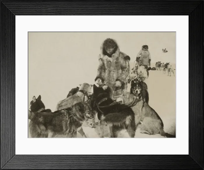 Framed Print : Leonhard Seppala and his dog-team, were the heroes of the great mush to Nome in 1925 Framed Print : Leonhard Seppala and his dog-team, were the heroes of the great mush to Nome in 1925