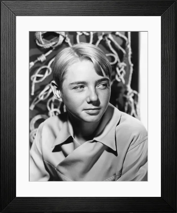 Framed Print : THE SUN COMES UP, Claude Jarman, Jr. 1949 Framed Print : THE SUN COMES UP, Claude Jarman, Jr. 1949