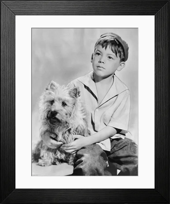 Framed Print : SUNDAY DINNER FOR A SOLDIER, Bobby Driscoll, 1944, TM & Copyright 20th Century Fox Film Corp. / courtesy Everett Collection Framed Print : SUNDAY DINNER FOR A SOLDIER, Bobby Driscoll, 1944, TM & Copyright 20th Century Fox Film Corp. / courtesy Everett Collection