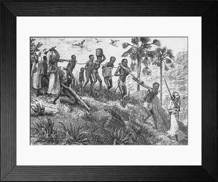 Framed Print : African captives were yoked together with logs and walked from the interior to the coast for sale to Europeans, and later Middle Eastern slaver traders for transport Framed Print : African captives were yoked together with logs and walked from the interior to the coast for sale to Europeans, and later Middle Eastern slaver traders for transport