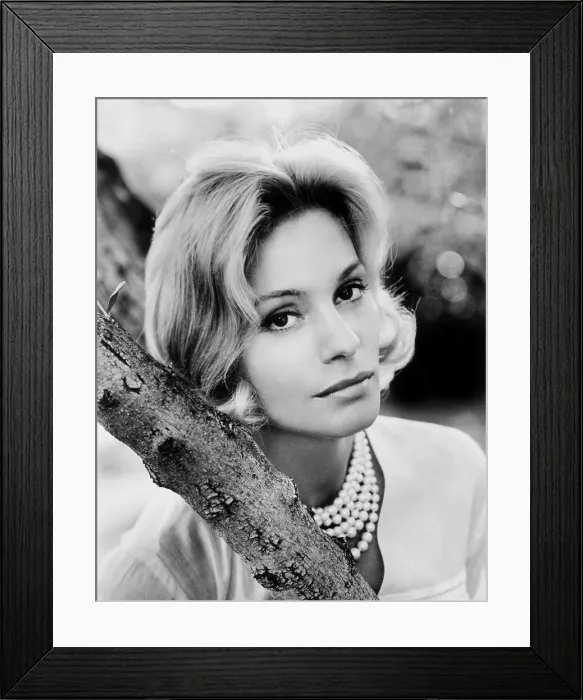 Framed Print : LA GUERRE EST FINIE, (aka THE WAR IS OVER), Ingrid Thulin, 1966 Framed Print : LA GUERRE EST FINIE, (aka THE WAR IS OVER), Ingrid Thulin, 1966