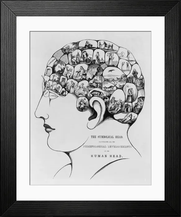 Framed Print : The Symbolical Head, Illustrating All the Phrenological Developments of the Human Head, was created by the leading American phrenologists