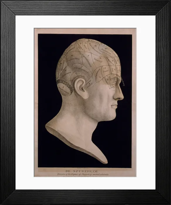 Framed Print : Phrenological chart of the head showing the belief that the brain was composed of multiple organs