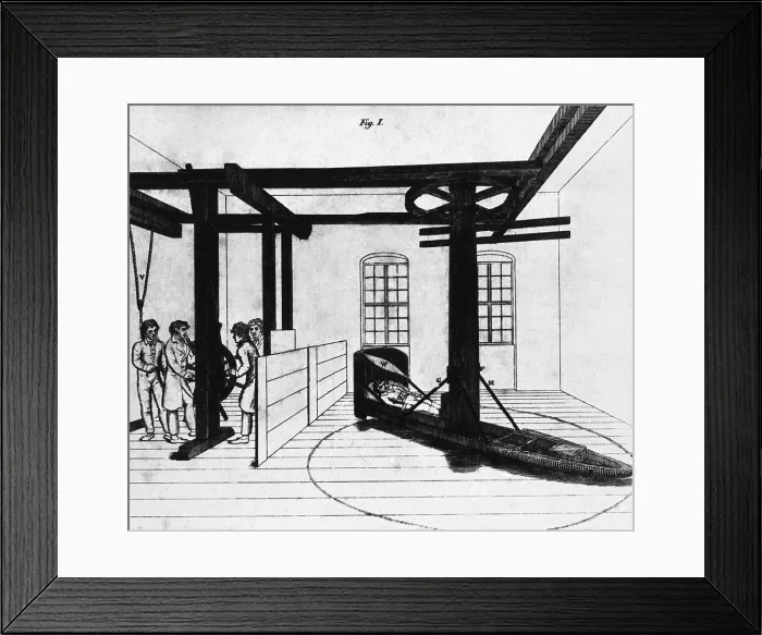 Framed Print : Mental patient being treated in a centrifugal force bed at a German charity hospital in the early 19th century. Lithograph from the Journal of Mental Doctors, 1818-1822