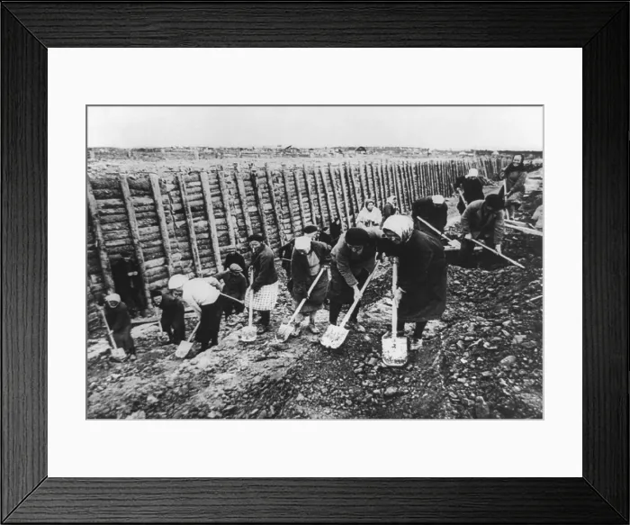 Framed Print : Leningrad inhabitants construct anti-tank ditches in 1941 or 1942