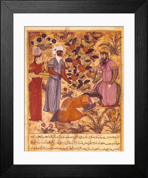 Framed Print : Shahnameh. The Book of Kings. 16th c. A women kneels down before the sultan. It belongs to 'the Book of Calilla and Dinma', from 'the Fables of Bidpay' Framed Print : Shahnameh. The Book of Kings. 16th c. A women kneels down before the sultan. It belongs to 'the Book of Calilla and Dinma', from 'the Fables of Bidpay'