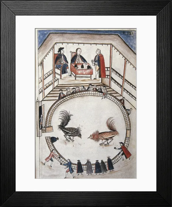Framed Print : MARTiNEZ COMPAnoN Y BUJANDA, Baltasar Jaime (1735-1797). Trujillo del Peru en el siglo XVIII. 1782 - 1785. Vol 2. Plate 138. 'Juego de gallos' (Cockfight) Framed Print : MARTiNEZ COMPAnoN Y BUJANDA, Baltasar Jaime (1735-1797). Trujillo del Peru en el siglo XVIII. 1782 - 1785. Vol 2. Plate 138. 'Juego de gallos' (Cockfight)