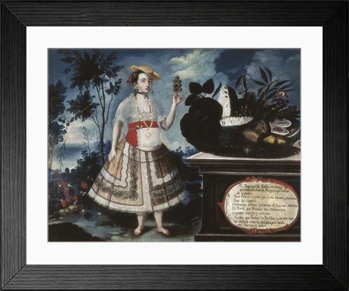 Framed Print : ALBAN, Vicente (18th c.). A Young Woman from Quito Dressed for Public Life. 1783. Casta paintings. Quito School. Colonial baroque. Oil on canvas. SPAIN. Madrid Framed Print : ALBAN, Vicente (18th c.). A Young Woman from Quito Dressed for Public Life. 1783. Casta paintings. Quito School. Colonial baroque. Oil on canvas. SPAIN. Madrid