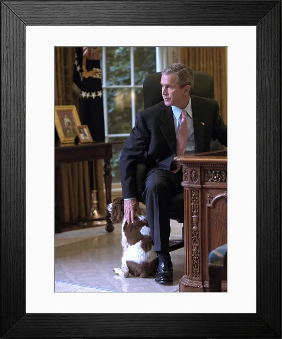 Framed Print : President George W. Bush pets Spot in the Oval Office of the White House. Oct. 1, 2001. (BSLOC_2015_2_170) Framed Print : President George W. Bush pets Spot in the Oval Office of the White House. Oct. 1, 2001. (BSLOC_2015_2_170)