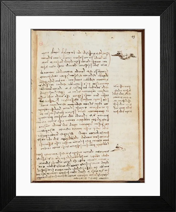 Framed Print : Page from the Codex regarding the Flight of Birds, by Leonardo da Vinci, 16th Century, 1505 -1506 about, paper manuscript, cm 213 x 153 - Italy, Piemonte, Turin, Royal Library Framed Print : Page from the Codex regarding the Flight of Birds, by Leonardo da Vinci, 16th Century, 1505 -1506 about, paper manuscript, cm 213 x 153 - Italy, Piemonte, Turin, Royal Library