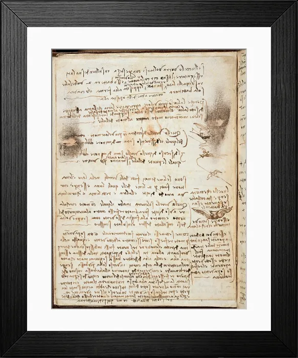Framed Print : Page from the Codex regarding the Flight of Birds, by Leonardo da Vinci, 16th Century, 1505 -1506 about, paper manuscript, cm 213 x 153 - Italy, Piemonte, Turin, Royal Library Framed Print : Page from the Codex regarding the Flight of Birds, by Leonardo da Vinci, 16th Century, 1505 -1506 about, paper manuscript, cm 213 x 153 - Italy, Piemonte, Turin, Royal Library