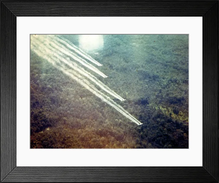 Framed Print : Vietnam War. From 1962 until 1971, US military sprayed defoliant over Vietnam's forests to deny Communist forces the use of jungle cover and food sources