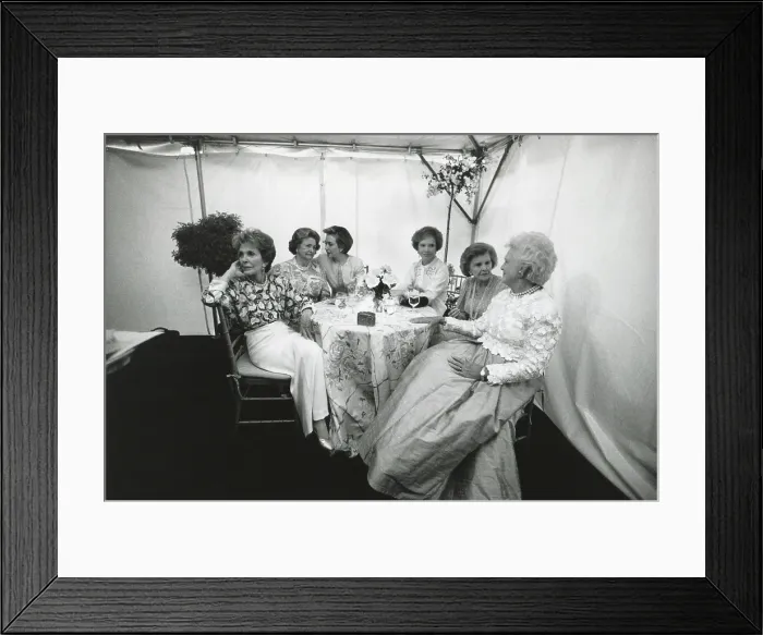 Framed Print : National Garden Gala, A Tribute to America's First Ladies at the U.S. Botanical Garden. May 11, 1994 Framed Print : National Garden Gala, A Tribute to America's First Ladies at the U.S. Botanical Garden. May 11, 1994