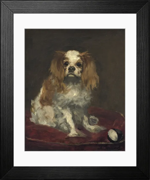 Framed Print : A King Charles Spaniel, by Edouard Manet, 1866, French painting, oil on linen (BSLOC_2016_5_99) Framed Print : A King Charles Spaniel, by Edouard Manet, 1866, French painting, oil on linen (BSLOC_2016_5_99)