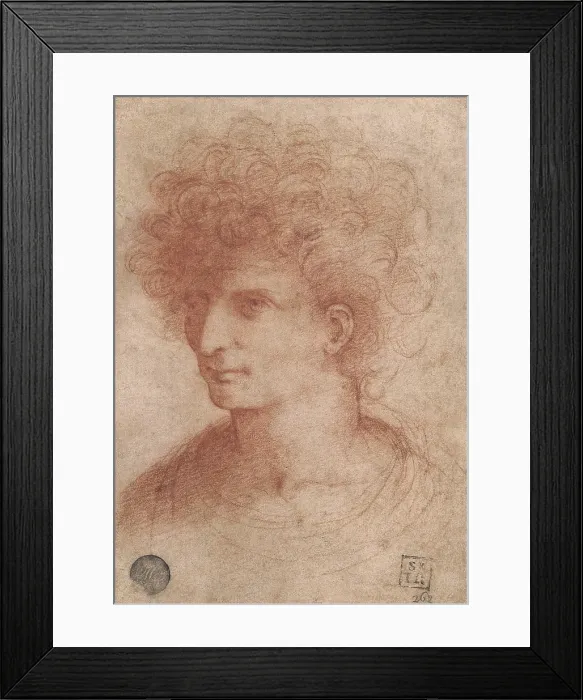 Framed Print : Bust of a Young Man, by Giovanni Agostino da Lodi known as Pseudo Boccaccino, 16th Century, 1500 about, red pencil on paper light walnut, mm 145 x 103 - Italy, Veneto, Venice Framed Print : Bust of a Young Man, by Giovanni Agostino da Lodi known as Pseudo Boccaccino, 16th Century, 1500 about, red pencil on paper light walnut, mm 145 x 103 - Italy, Veneto, Venice