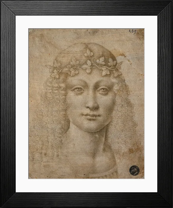 Framed Print : Head of Bacchus (Head of a Young Man with a Grapevine Wreath), by Boltraffio Giovanni Antonio, 15th Century -16th Century, 1480 -1520 about