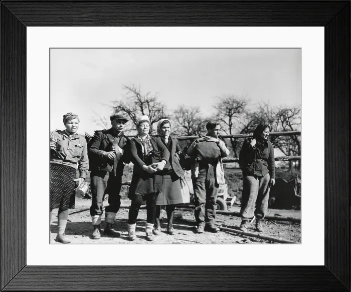 Framed Print : Four young women and two men, used by Nazis as forced labor in Saar, Germany, during World War 2. They were Russian civilians liberated as the U.S