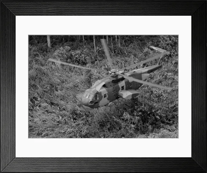 Framed Print : Vietnam War. An unmarked US Air Force helicopter landing in Southeast Asian jungle during operation Pony Express. Pony Express provided covert transport for indigenous Framed Print : Vietnam War. An unmarked US Air Force helicopter landing in Southeast Asian jungle during operation Pony Express. Pony Express provided covert transport for indigenous