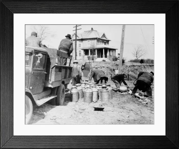 Framed Print : Striking farmers dump milk cans from a truck they have stopped to prevent delivery to market during the Great Depression