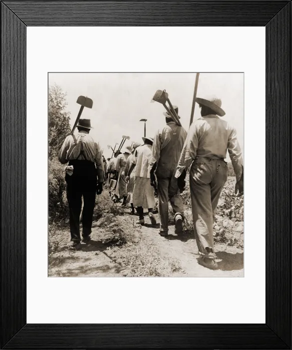 Framed Print : African American cotton hoers worked from 6 a.m. to 7 p.m. for one dollar. Clarksdale, Mississippi, 1937. Photo by Dorothea Lange