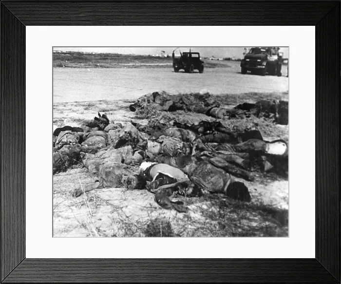 Framed Print : Vietnam War-Tet Offensive. Viet Cong dead after a Tet Offensive attack on the perimeter of Tan Son Nhut Air Base. Feb. 1, 1968
