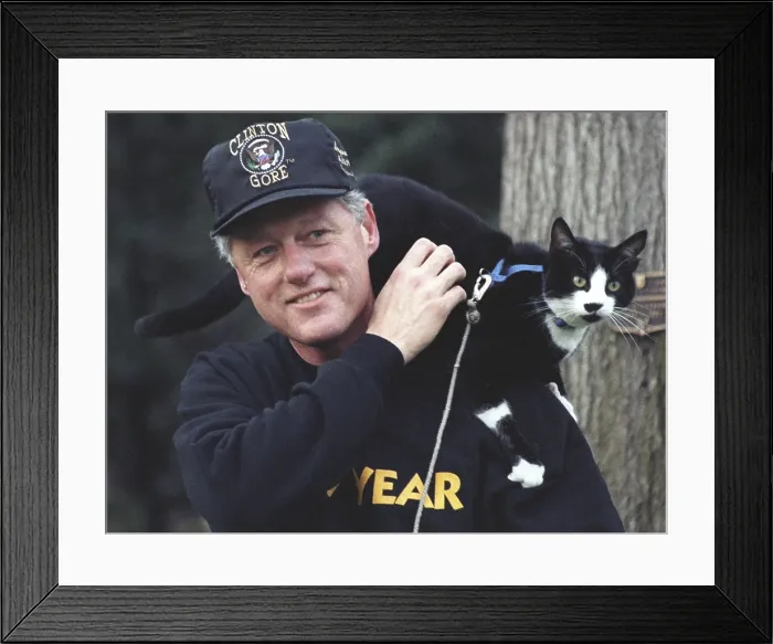 Framed Print : President Bill Clinton with Socks the Cat perched on his shoulder. March 7, 1995. (BSLOC_2015_2_203) Framed Print : President Bill Clinton with Socks the Cat perched on his shoulder. March 7, 1995. (BSLOC_2015_2_203)