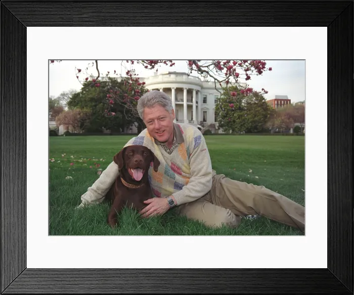 Framed Print : President Bill Clinton with his a male chocolate-colored Labrador Retriever, Buddy. Clinton acquired Buddy as a 3-month-old puppy in Dec