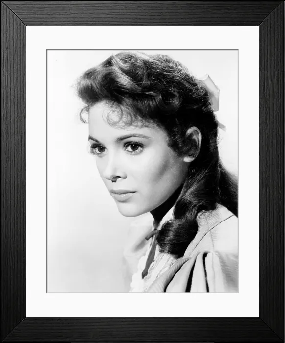 Framed Print : THE REMARKABLE MR. PENNYPACKER, Jill St. John, 1959, TM & Copyright 20th Century Fox Film Corp. / courtesy Everett Collection